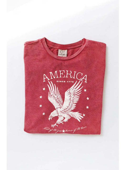 American Graphic Tee